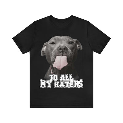 To All My Haters T-Shirt (Assorted Colors)