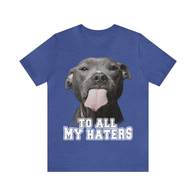 To All My Haters T-Shirt (Assorted Colors)