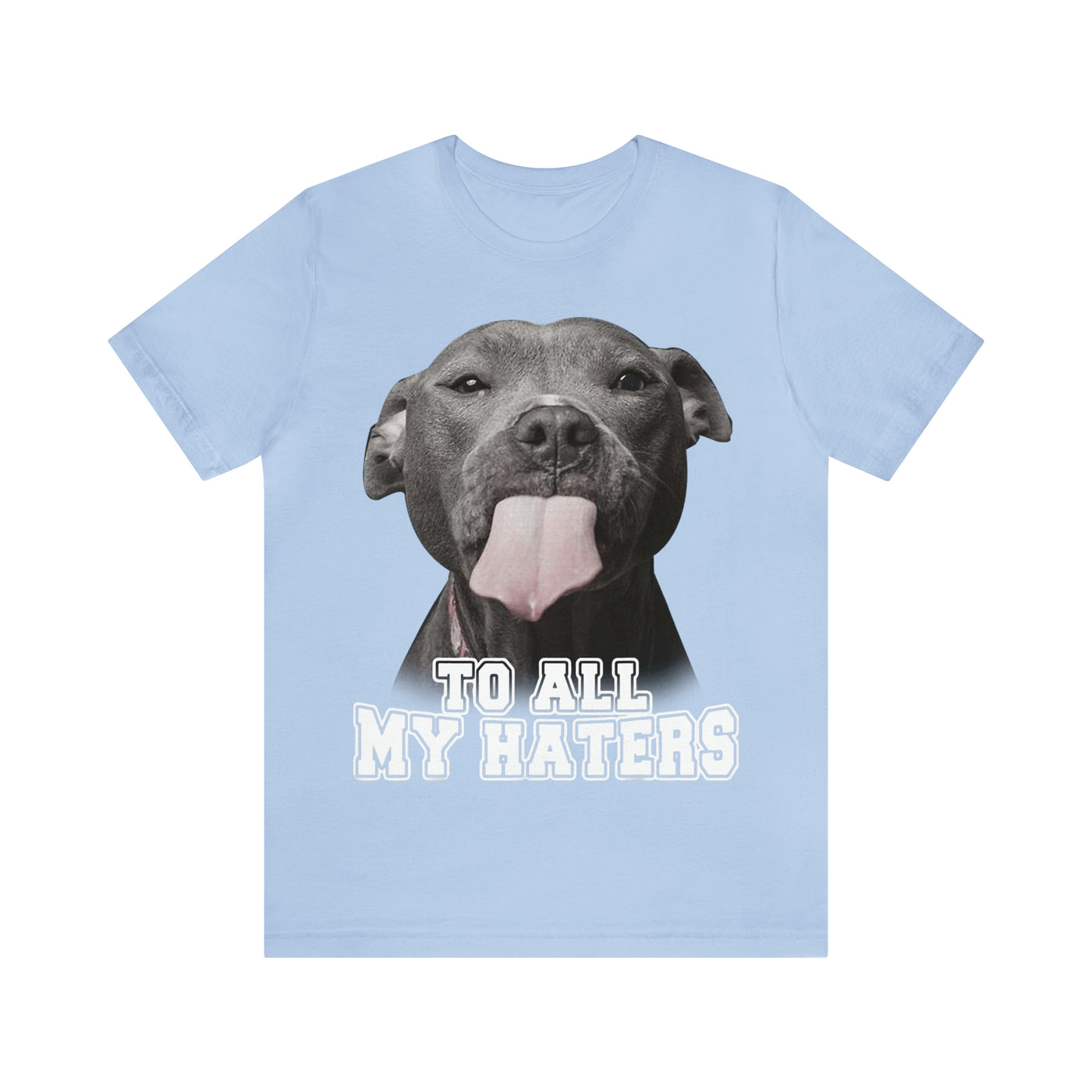 To All My Haters T-Shirt (Assorted Colors)