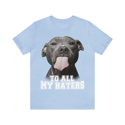 To All My Haters T-Shirt (Assorted Colors)