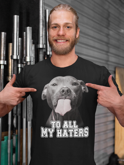 To All My Haters T-Shirt (Assorted Colors)