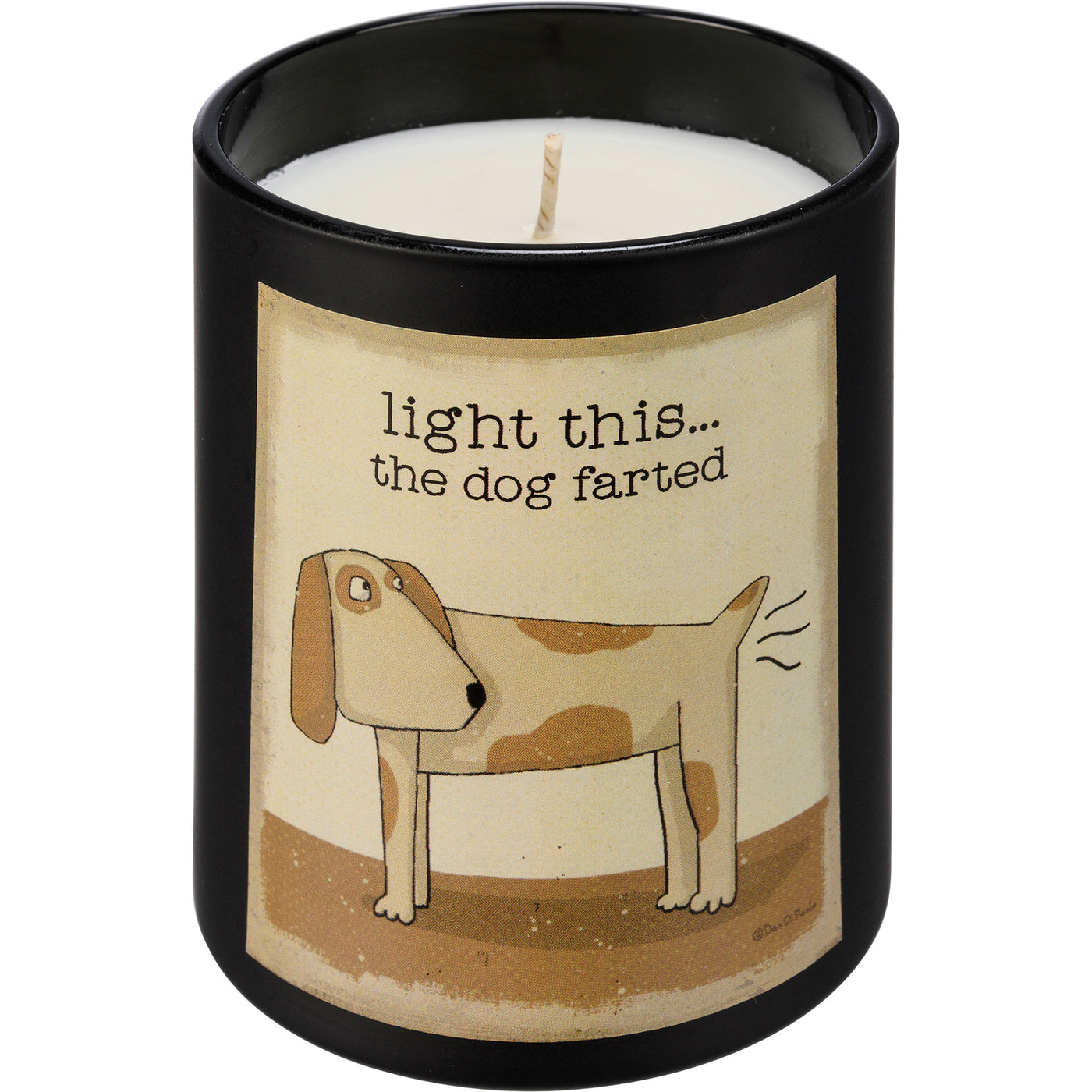 Jar Candle - Light This…The Dog Farted-Sea Salt and Sage Scent